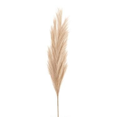 Large Light Brown Faux Pampas Grass Stem | World Market