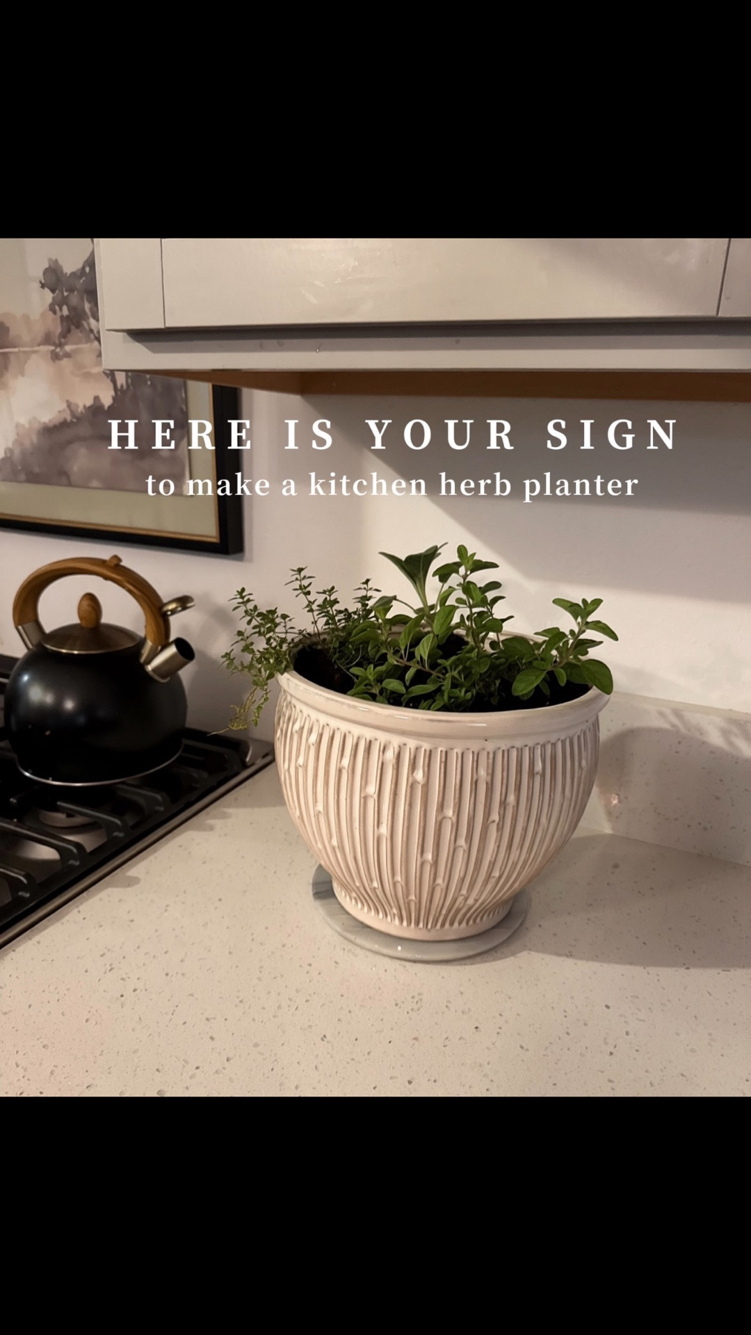 Here is your sign to run to Home Depot & make a herb planter for your kitchen counter 👌🏻

#LTKHome #LTKdayinmylife #LTKmomlife