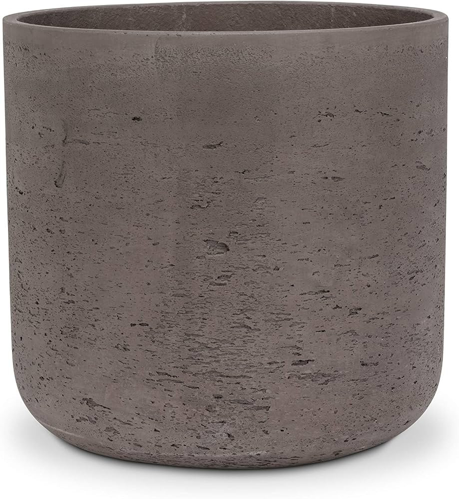 Abbott 18-BALL-1981 Ball Ornament | Amazon (CA)