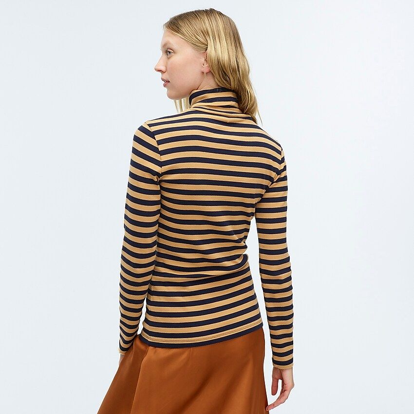 Perfect-fit turtleneck in stripe | J.Crew US