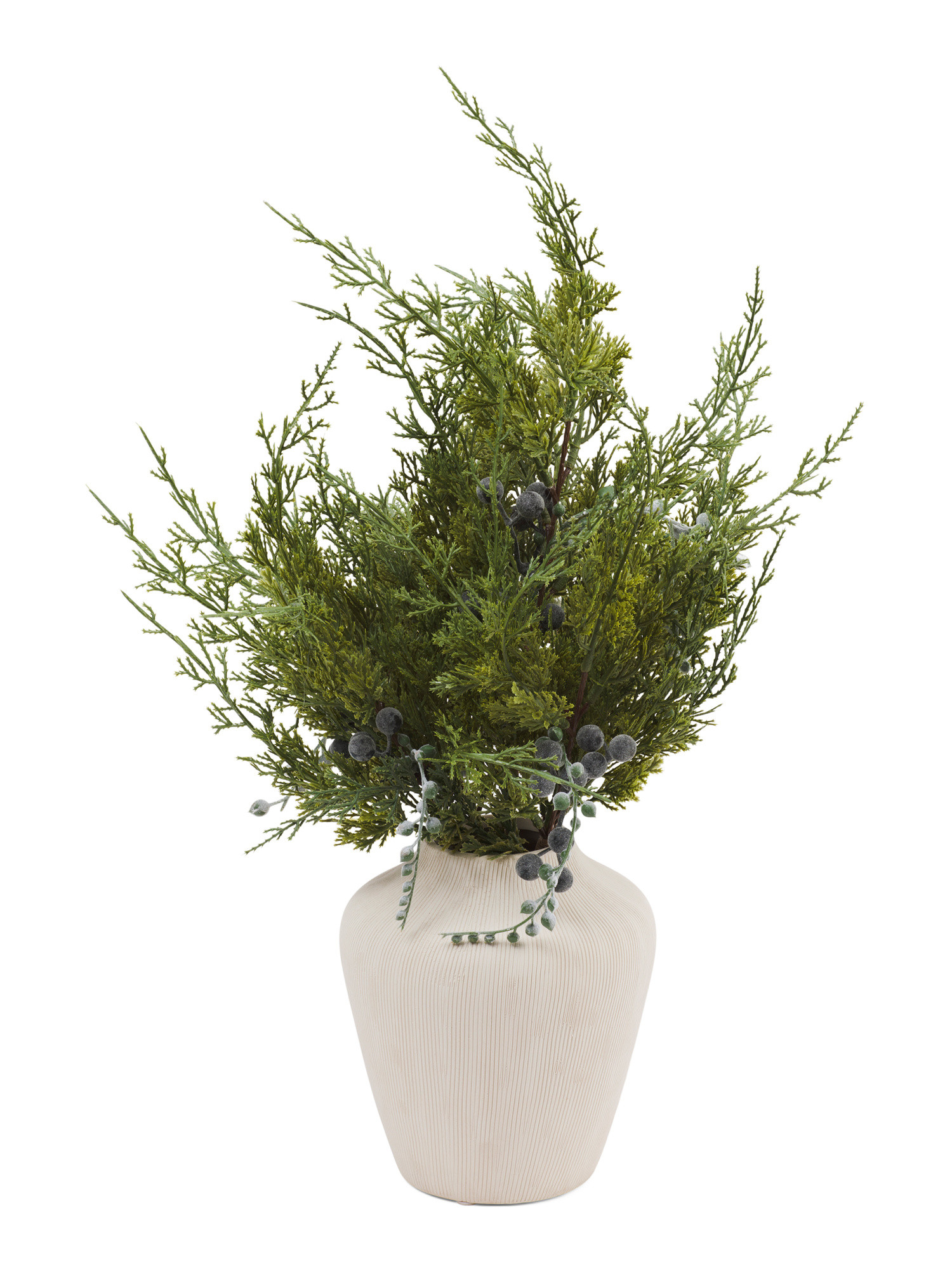 Oversized Juniper Arrangement In Textured Vase | Plants & Planters | Marshalls | Marshalls