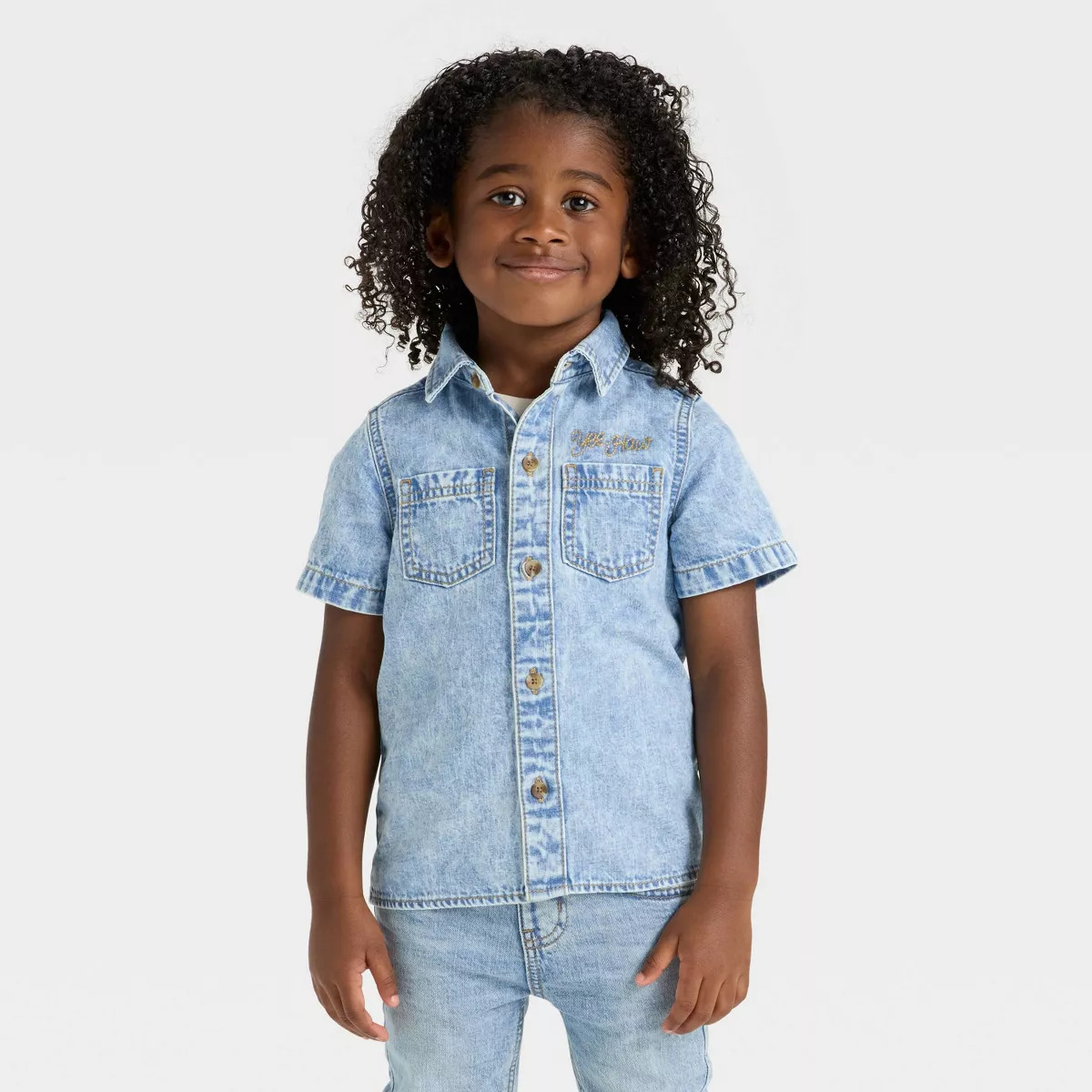 Toddler Boys' Short Sleeve Embroidered Denim Button-Up Shirt - Cat & Jack™ Medium Wash | Target