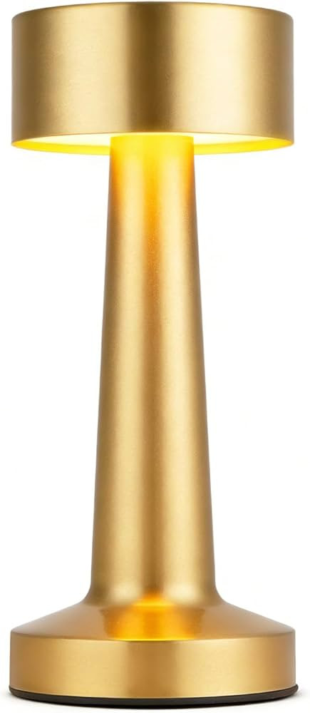 Portable LED Table Lamp, 3-Levels Brightness Metal Desk Lamp,3 Color Touch Control Rechargeable L... | Amazon (US)