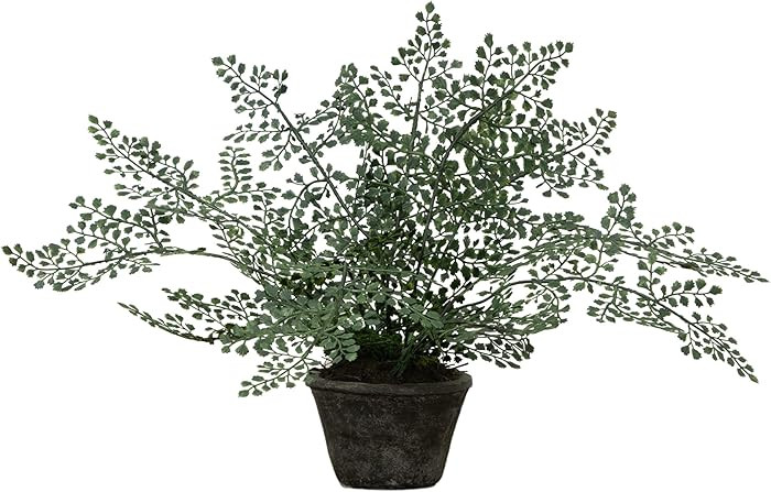 Nearly Natural 4251 Maiden Hair Artificial Plant in Planter Green Small | Amazon (US)