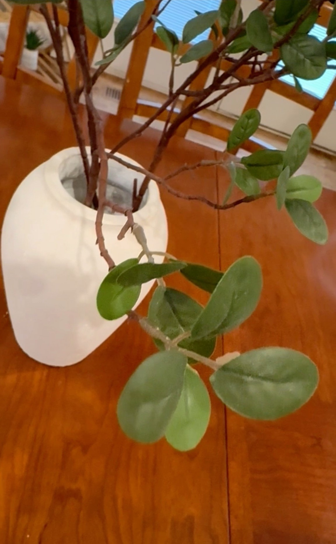 Tall, elegant, and effortlessly chic 🌿
This set of faux eucalyptus stems + handcrafted terracotta vase = instant style upgrade.

Matched my Black Friday + Cyber Monday mood board: minimal Christmas gift vibes 🤍🎄✨.

#LTKHome #LTKCyberWeek #LTKGiftGuide