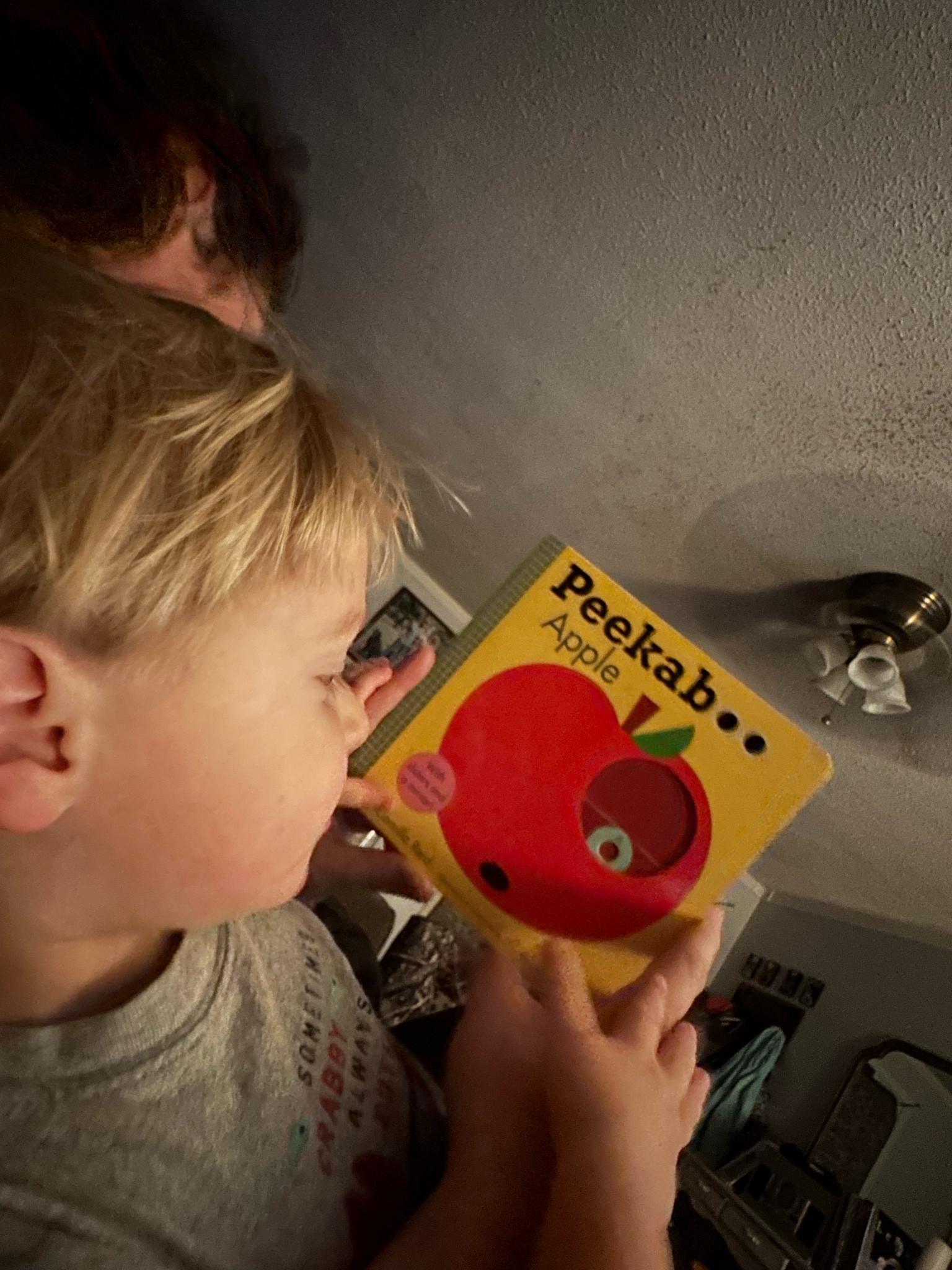 Our latest favorite book series 💕💕💕

#LTKFindsUnder50 #LTKKids #LTKBaby