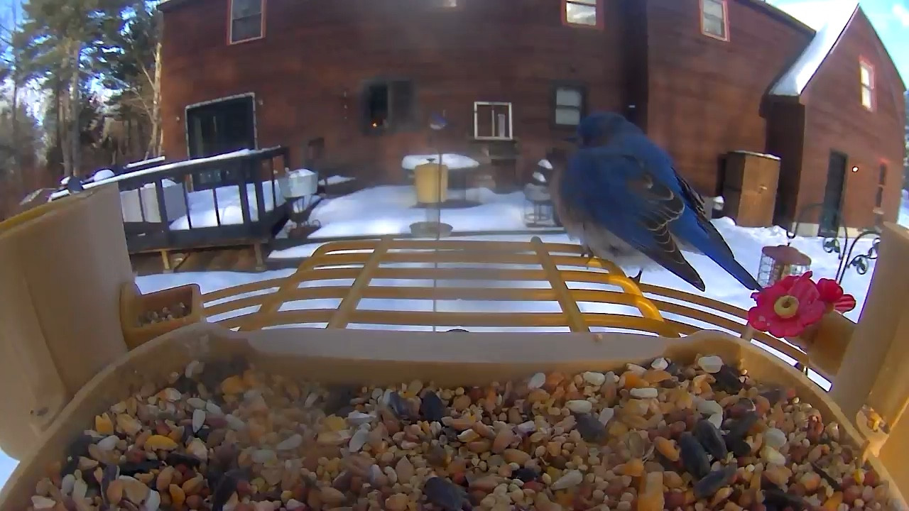 My cameras bring me so much joy!  Check them out! So easy to use!

#LTKMostLoved #LTKGiftGuide #LTKSeasonal