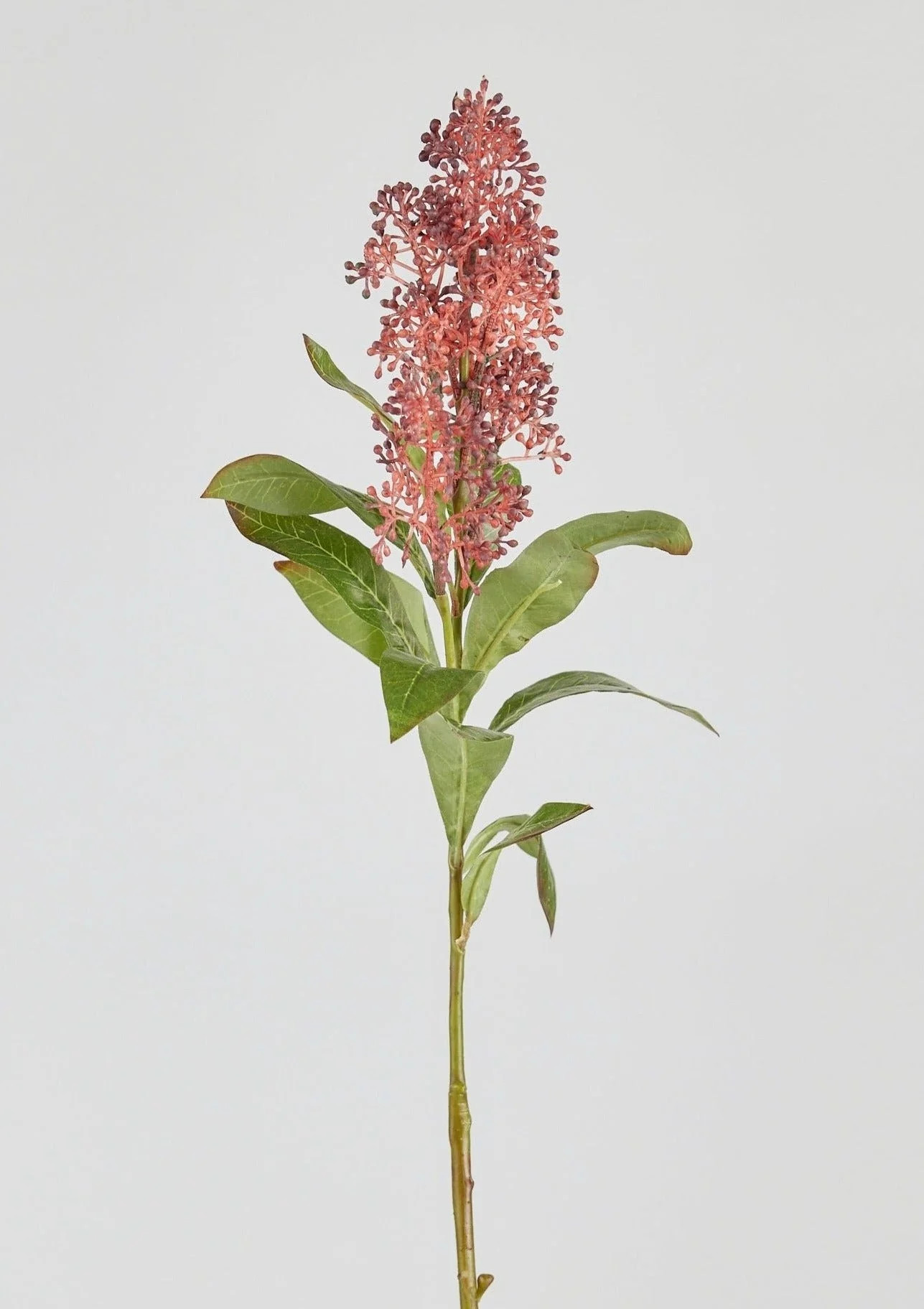 Rust Burgundy Faux Skimmia Flower Stem - 23" | Afloral