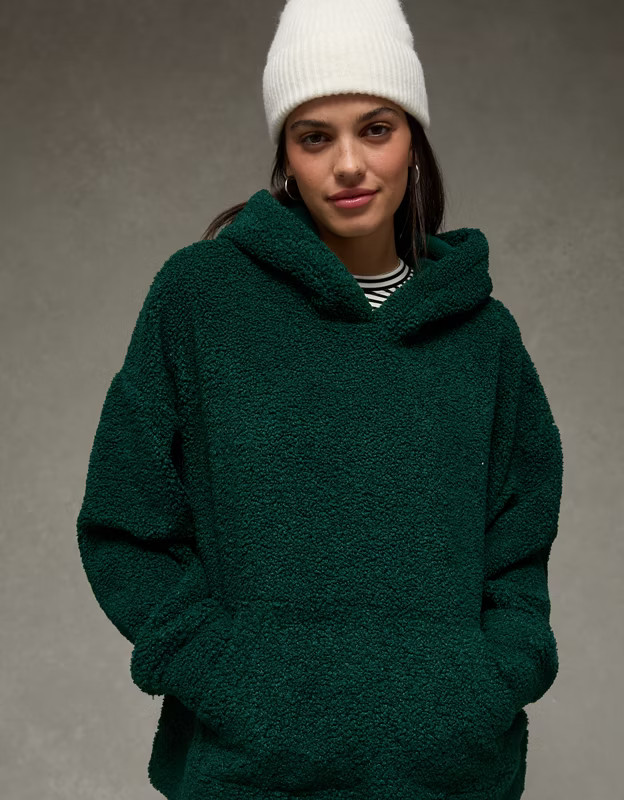 AE Sherpa Fleece Hoodie | American Eagle Outfitters (US & CA)