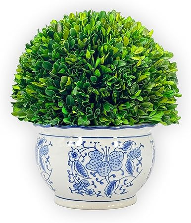 Galt International 11" Naturally Preserved Real Boxwood Ball in Hand-Painted Round Bulb Blue & Wh... | Amazon (US)