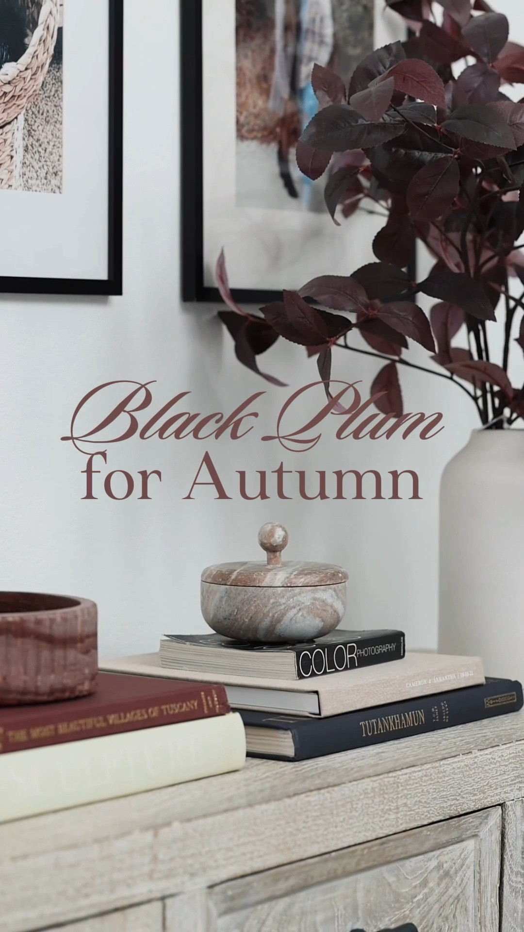 🖤 Burgundy + Black Plum are my must-have fall home décor colors of 2025!! These rich tones add such a cozy elegance. Burgundy faux stems, chic marble bowls, neutral vases, pleated lamps, and modern black side tables styled with coffee table books are all the vibes >>> Shop all my fall home décor favorites linked here! 

#LTKSeasonal #LTKHome #LTKHalloween
