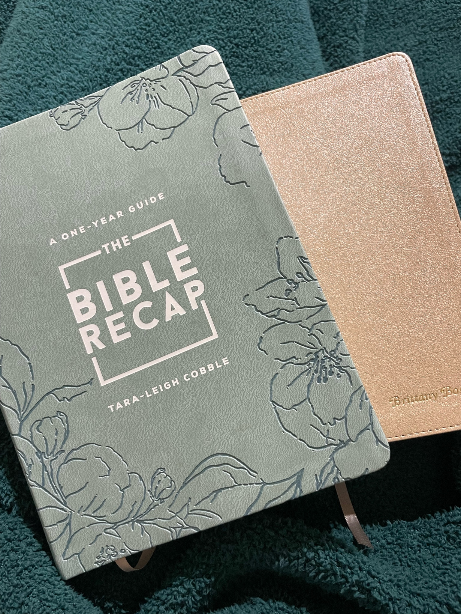 The Bible Recap - the best and easiest guide to reading the Bible in a year! On sale for $19.99!! #BibleRecap 

#LTKGiftGuide #LTKSaleAlert