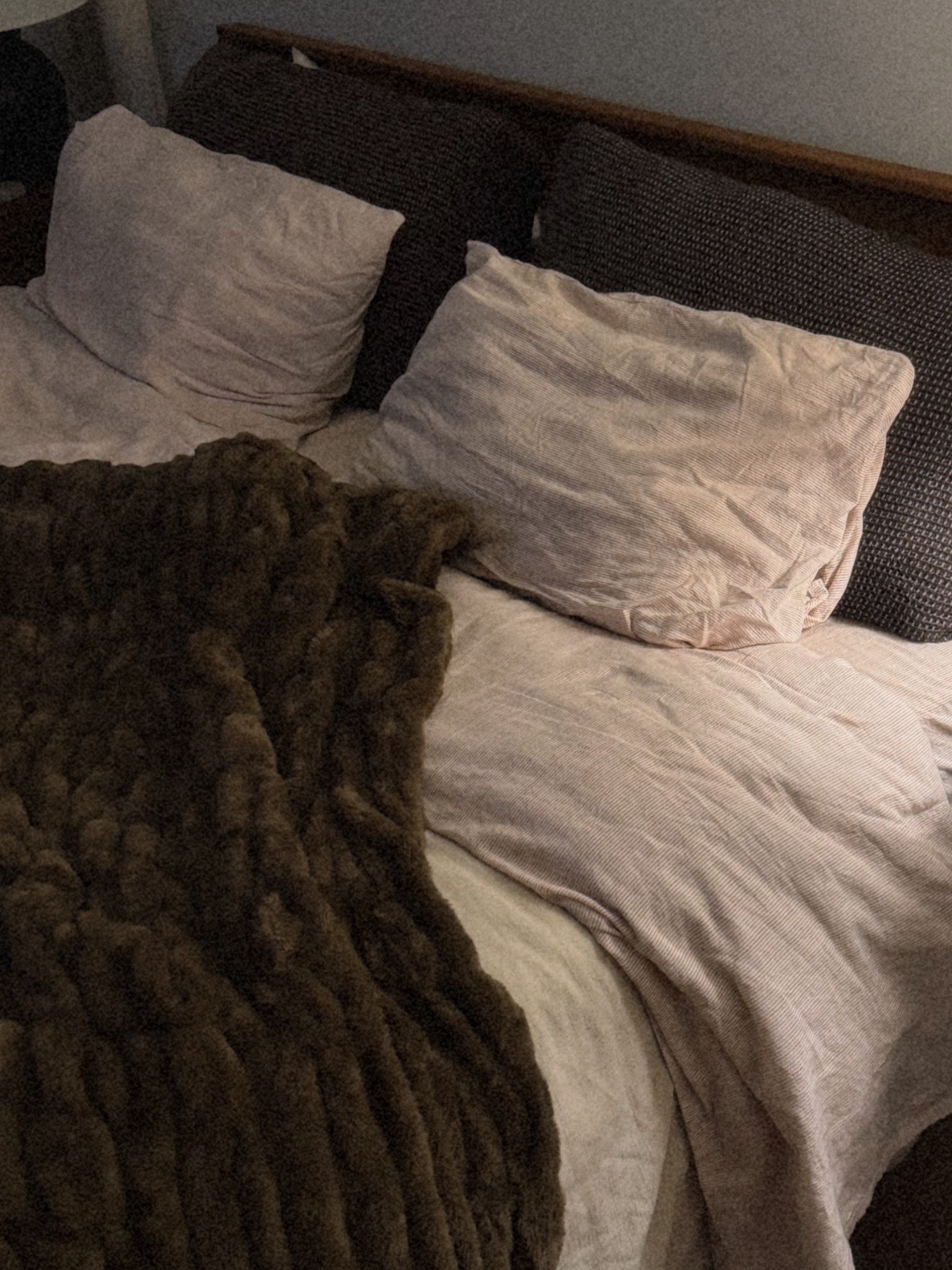 nice soft fur blanket 🐻✨

#LTKU #LTKSeasonal #LTKHome