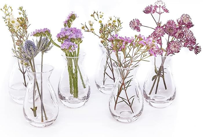CHIVE \u2018George\u2019 Glass Bottle Flower Vases \u2014 Set of 6 \u2014 Small, Elegant Clear Gl... | Amazon (US)