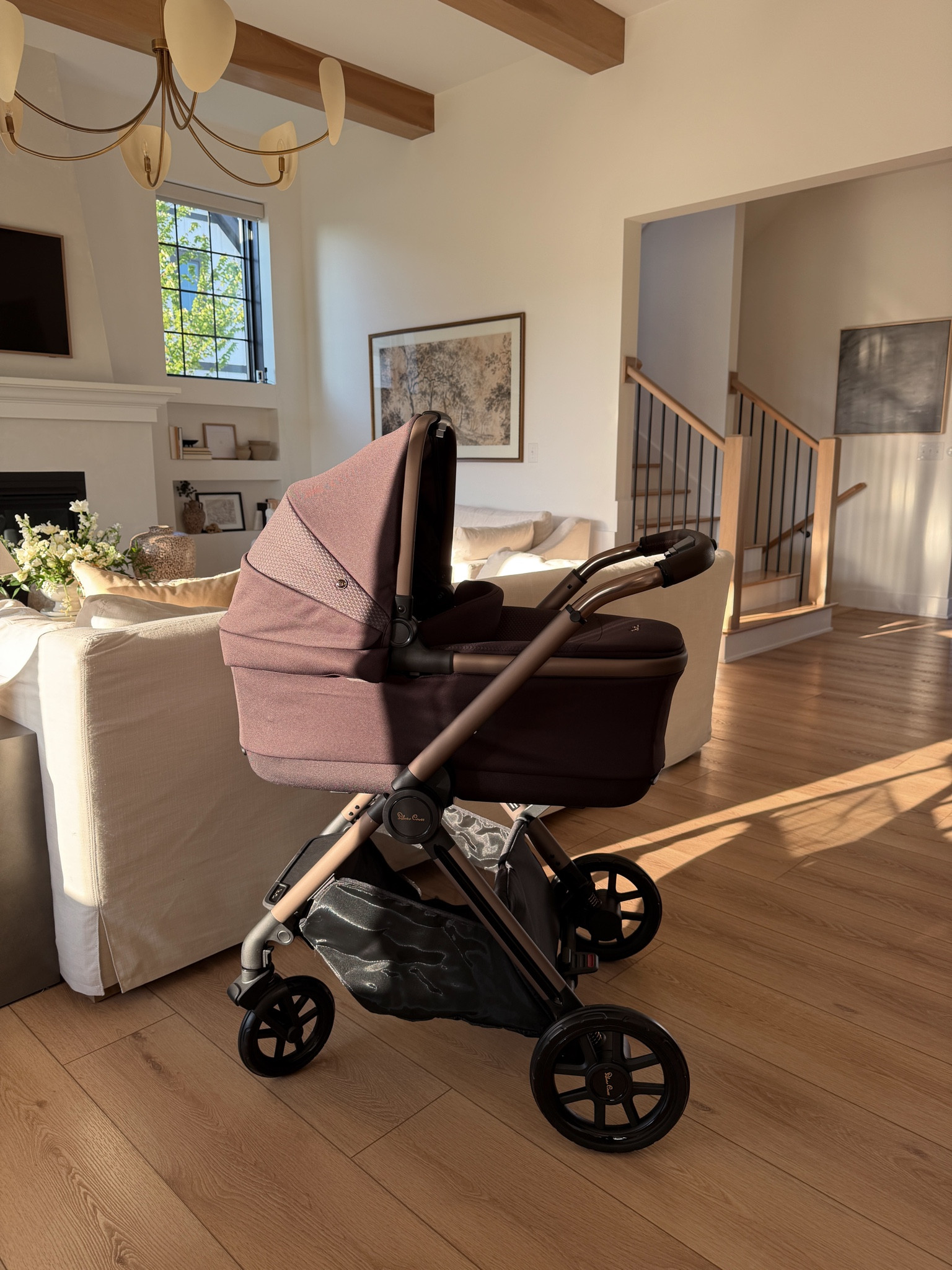 Stroller color ganache, car seat color: cedar 🤎

Silver cross reef 2
Nuna pipa aire rx 