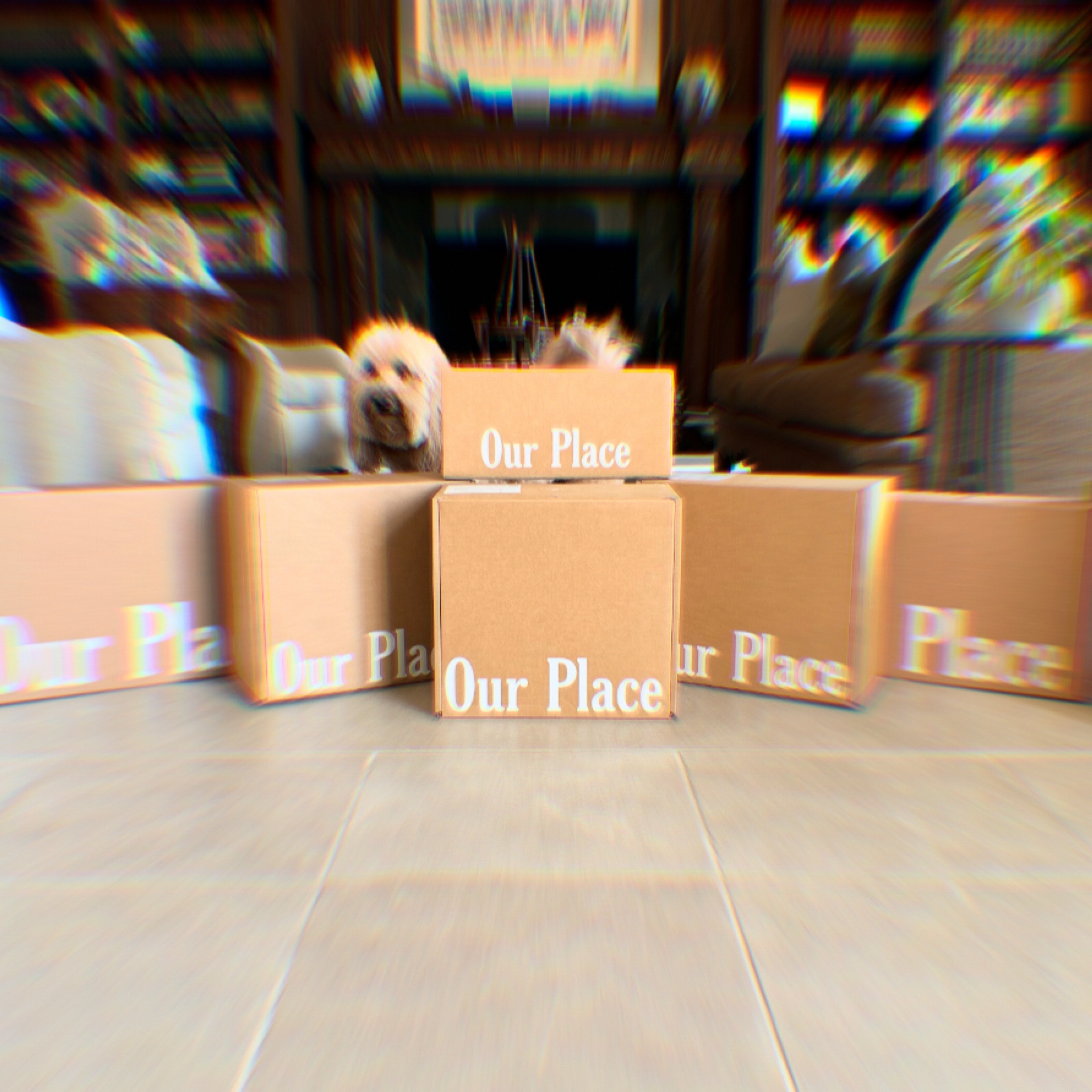 OUR happy PLACE 💚

#potdandpans #homedecor #kitchen #familydining #healthy 

#LTKFamily #LTKParties #LTKHome