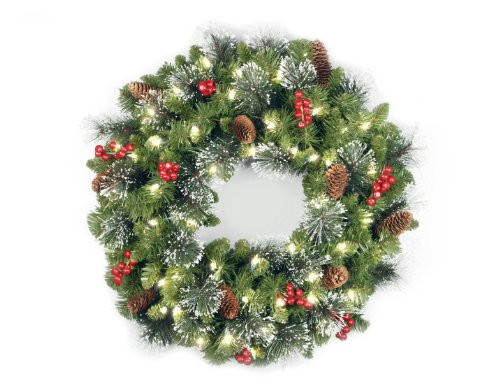 National Tree 24 Inch Crestwood Spruce Wreath with Silver Bristles, Cones, Red Berries, Glitter and 50 Clear Lights (CW7-306-24W) | Amazon (US)
