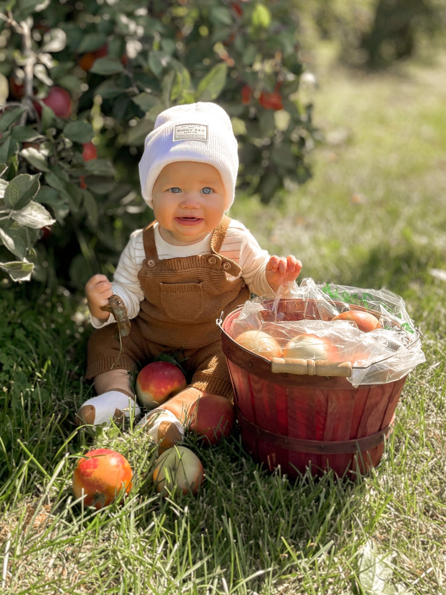 Baby boy cuteness overload! Come with me and shop adorable fall trending fashion for your little one at Target! 

#LTKSeasonal #LTKfamily #LTKkids