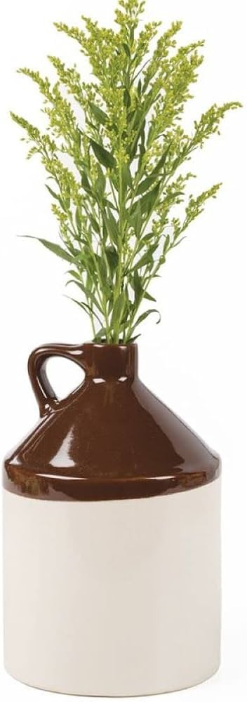Ohio Stoneware Authentic Half Gallon Jug Natural Brown with Food Safe Glaze | Amazon (US)