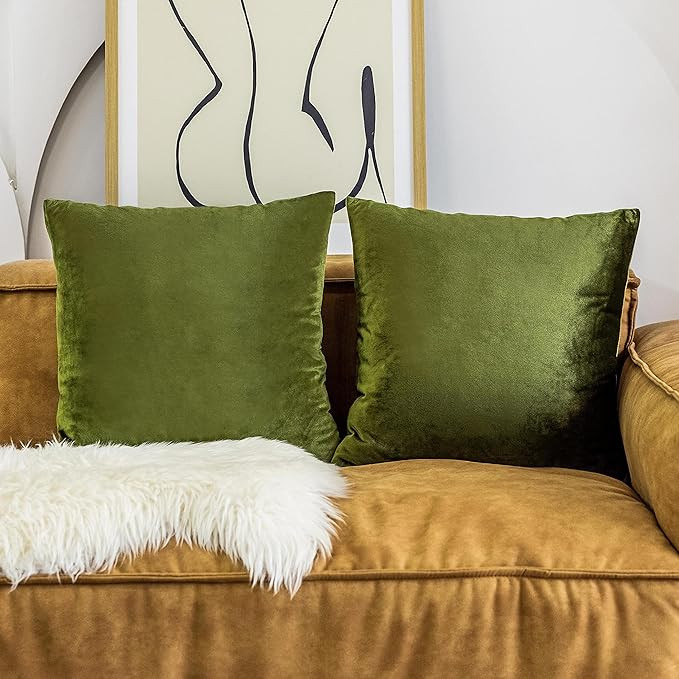 Home Brilliant Set of 2 Velvet Accent Throw Pillow Covers Cushion Cover Decorative Pillowcases fo... | Amazon (US)