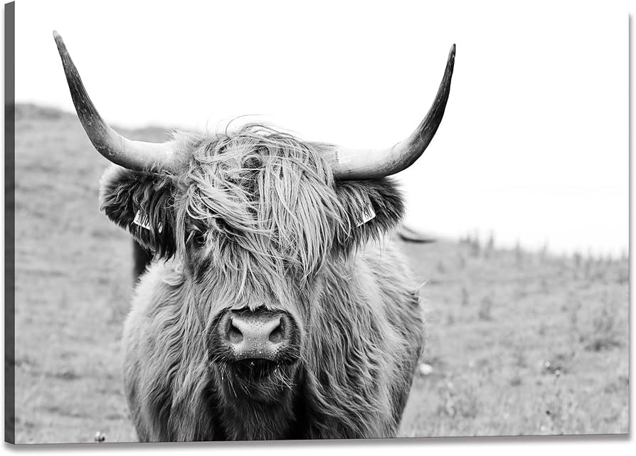 Black and White Framed Nature Prints Wall Art Animals Poster large Highland Cow Vintage Canvas Ar... | Amazon (US)