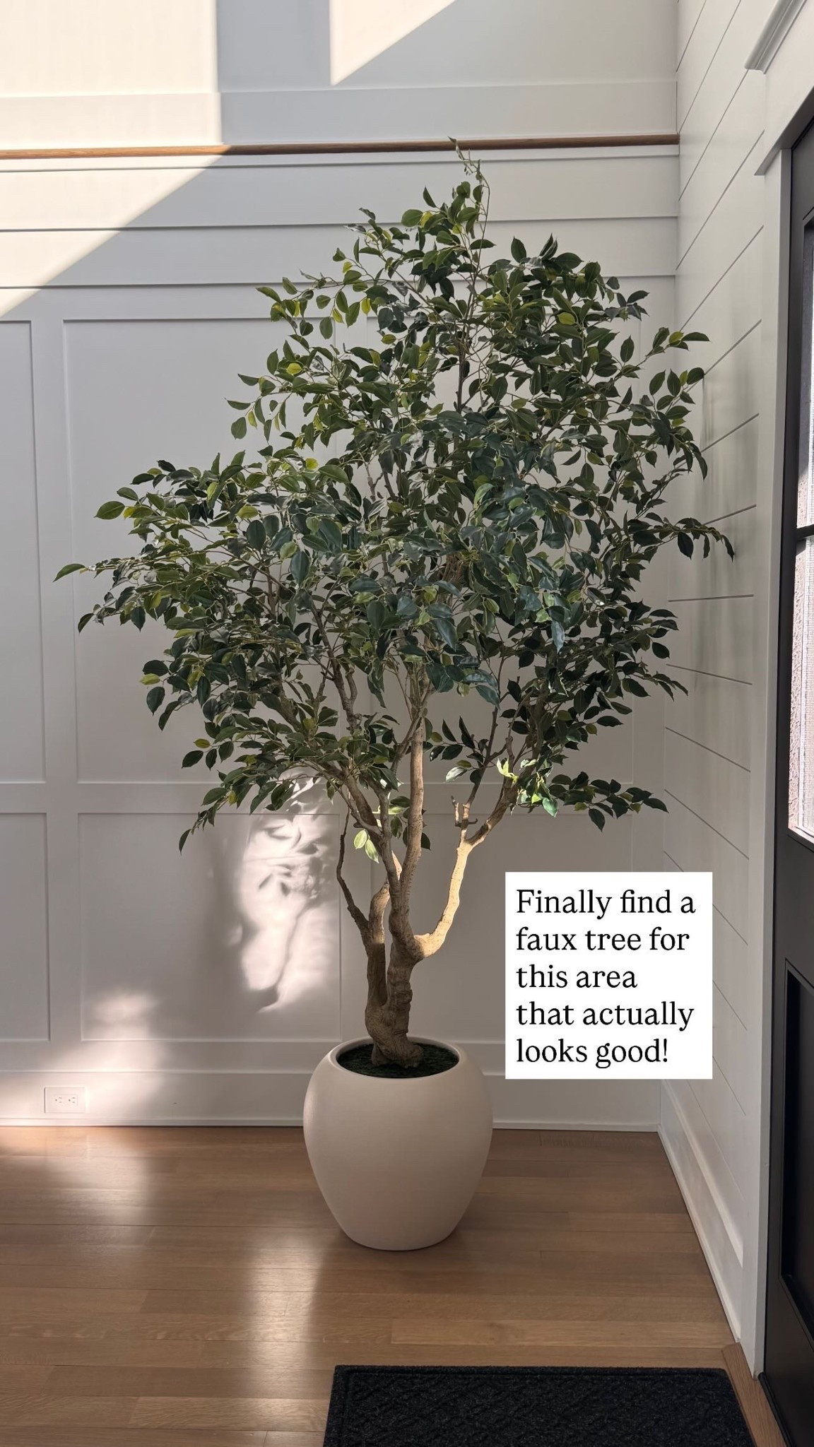 Good quality faux tree from Joss and Main. Adcock 8ft Artificial Ficus Tree with 18in White Planter 

#LTKHome #LTKSaleAlert