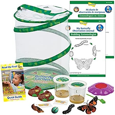 Butterfly Garden: Original Habitat and Live Cup of Caterpillars with STEM Butterfly Journal – Life S | Amazon (US)