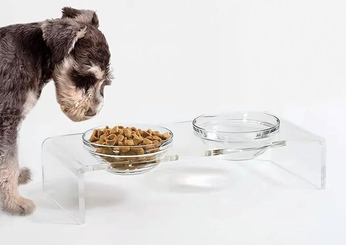 Acrylic Elevated Dog Cat Bowls Pet Feeder Double Bowl Raised Stand Comes with 2 Removable Glass B... | Amazon (US)