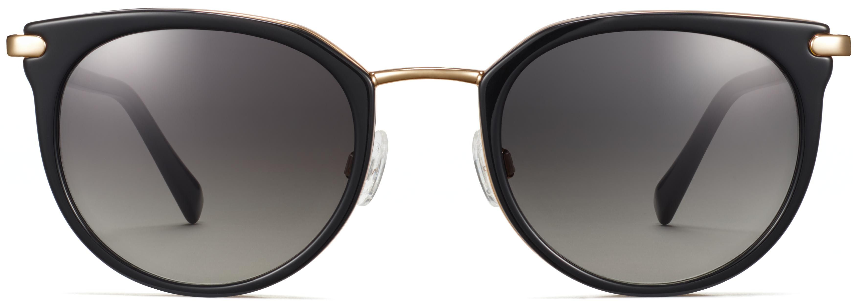 Whittier Sunglasses in Jet Black with Polished Gold | Warby Parker | Warby Parker (US)