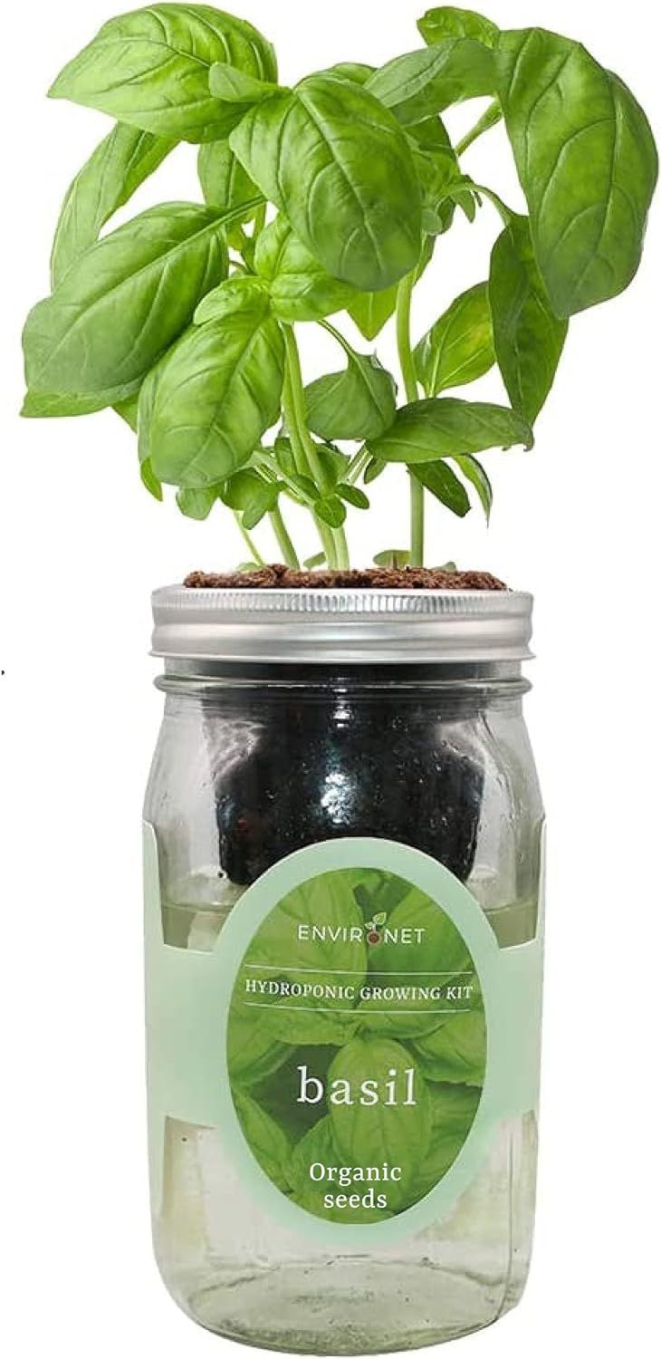 Environet Hydroponic Growing Kit, Self-Watering Mason Jar Herb Garden Starter Kit Indoor, Windows... | Amazon (US)