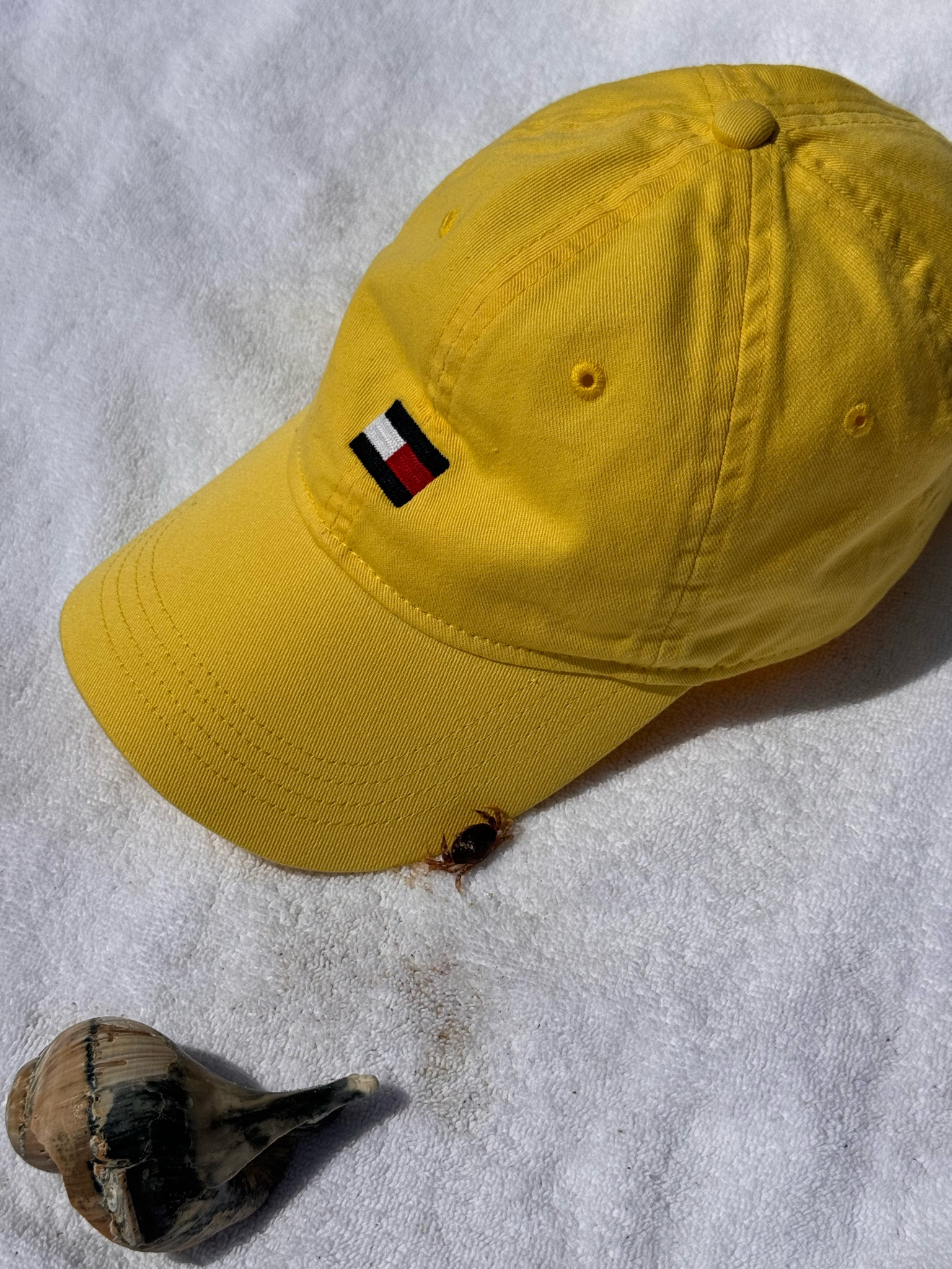 Even that lil crab loved my hat 🧢 😍



#LTKStyleTip #LTKSeasonal #LTKFindsUnder50