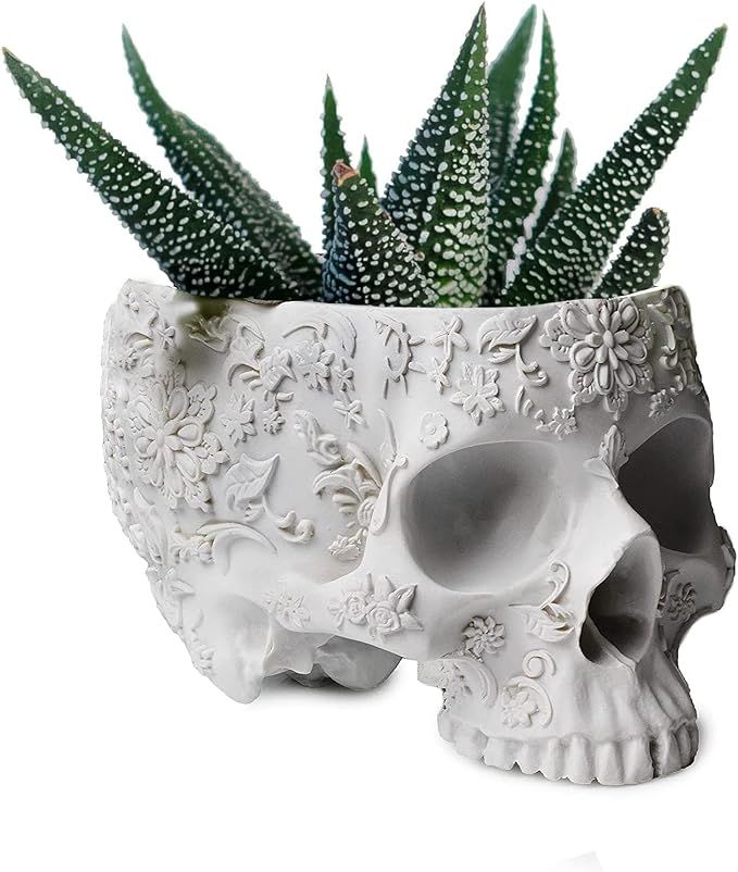 Skull Trick or Treat Bowl & Plant Planter Pot 6" H Polyresin Skulls Pot for Succulents, Indoor Pl... | Amazon (US)