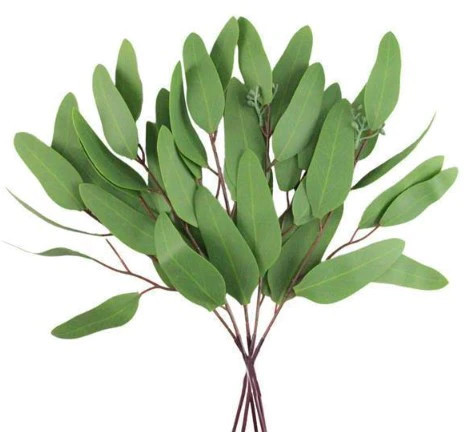 15"L Blade Leaf Eucalyptus Bundle | The Nested Fig