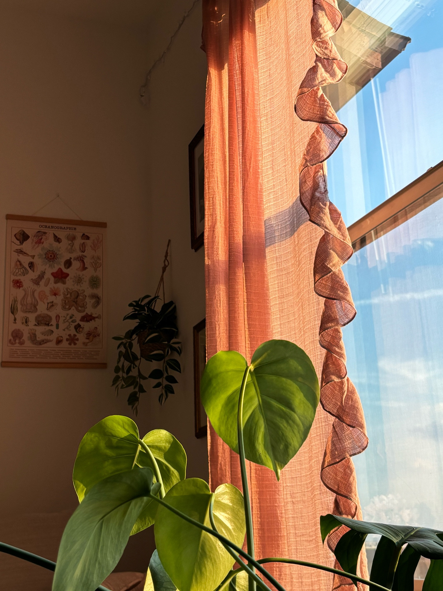 Found the CUTEST gauzy ruffle curtains for my living room. It’s the perfect touch of pink without being super pink. Bought two for my window 🤍

#LTKSummerSales #LTKFindsUnder100 #LTKHome