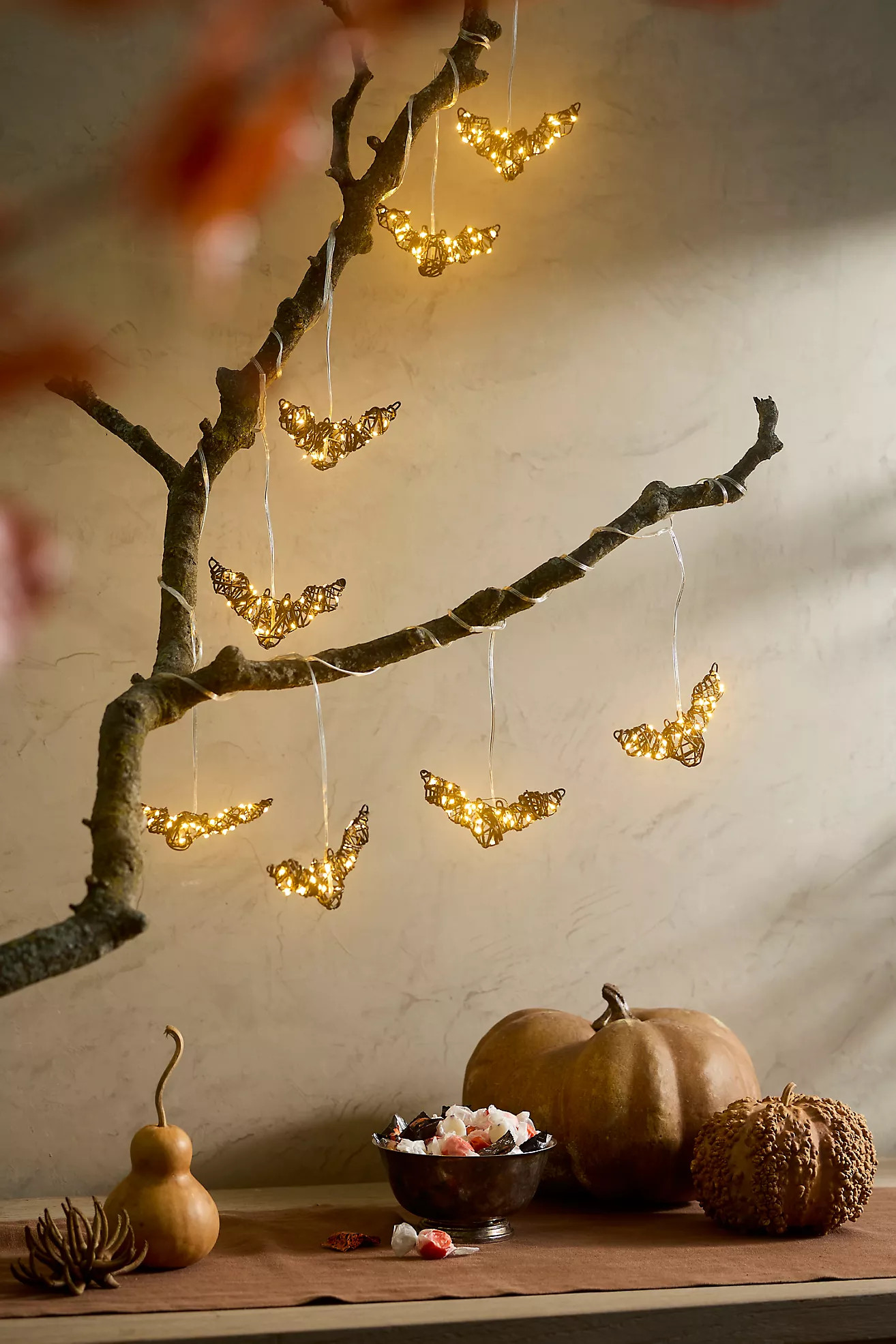 Terrain Illuminated Vine Bat Light Strand | Anthropologie (US)