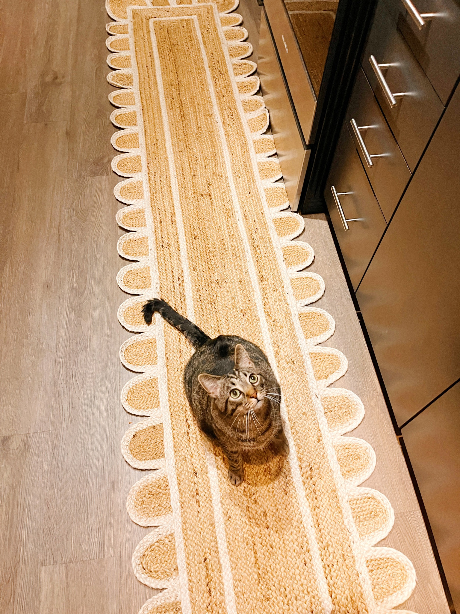 Scalloped woven kitchen runner/rug (comes in more sizes and colors)