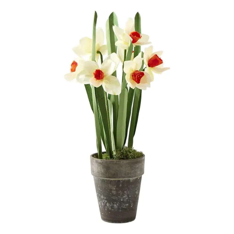 Potted Paper Daffodils | Chairish