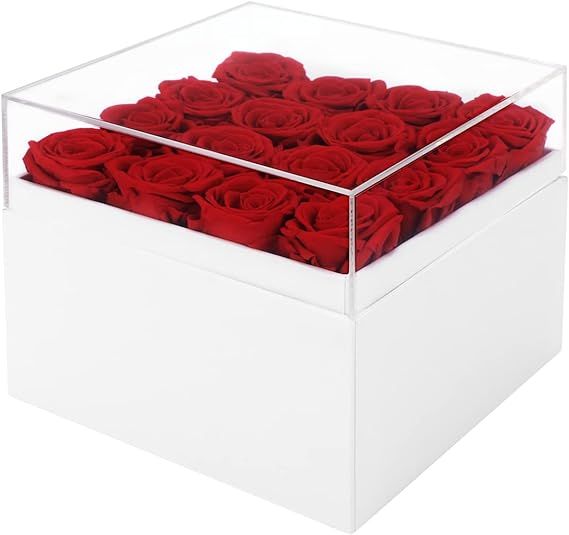 Citamora Preserved Roses Real Rose Box Eternal red Pink Flowers That Last Over a Year (red) | Amazon (US)