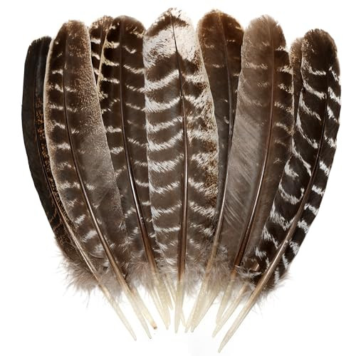 Natural Wild Turkey Feathers Wing 6-8inch (15-20cm) for Crafts DIY Home Wedding Party Halloween Decoration Feathers (20pcs) | Amazon (US)