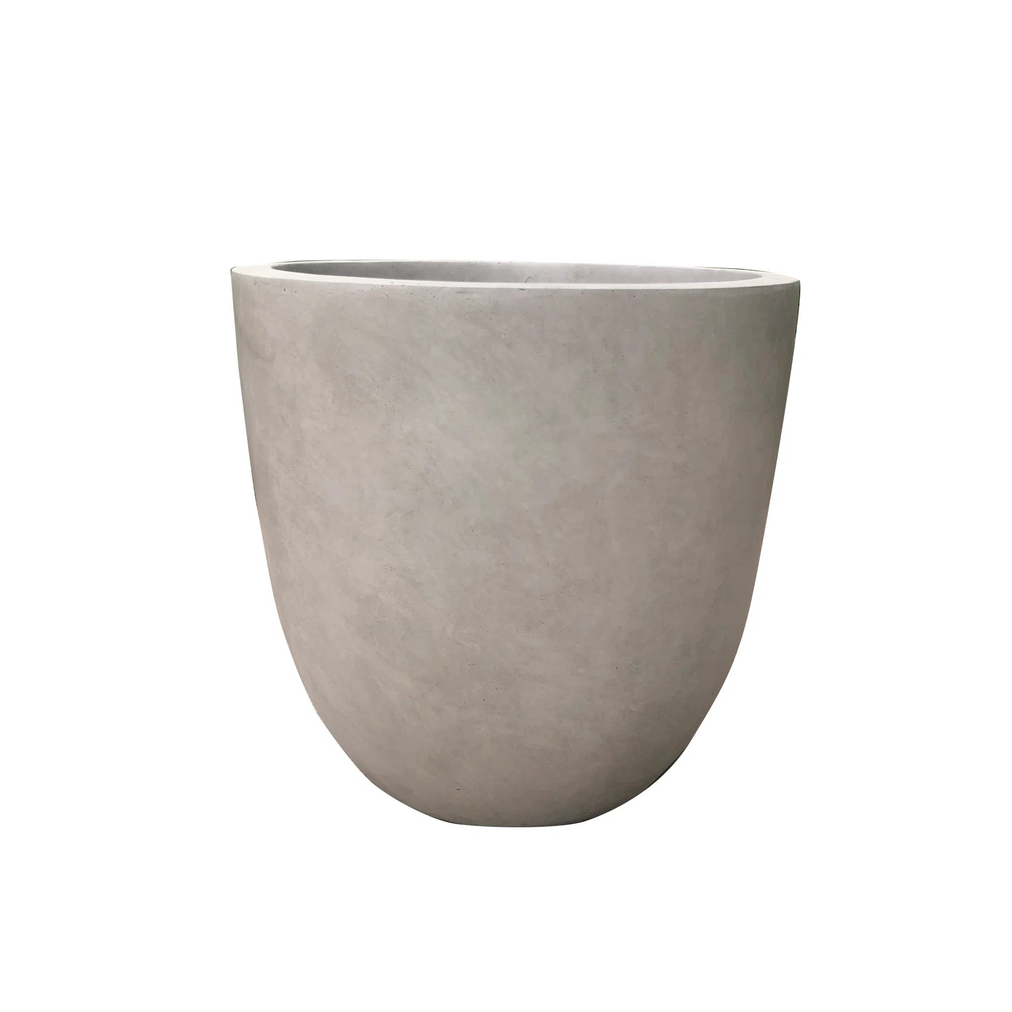 Brayden Studio® Karola Concrete Pot Planter & Reviews | Wayfair | Wayfair North America