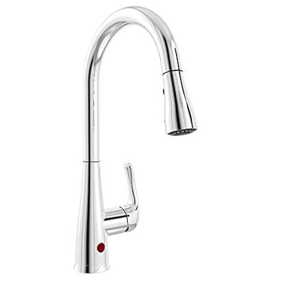 Plumb Pak NEX76CCP Kitchen Sink Faucet with Pull Down Spout, 2.2 Gpm, 16-5/8 in H, Polished Chrom... | Amazon (US)