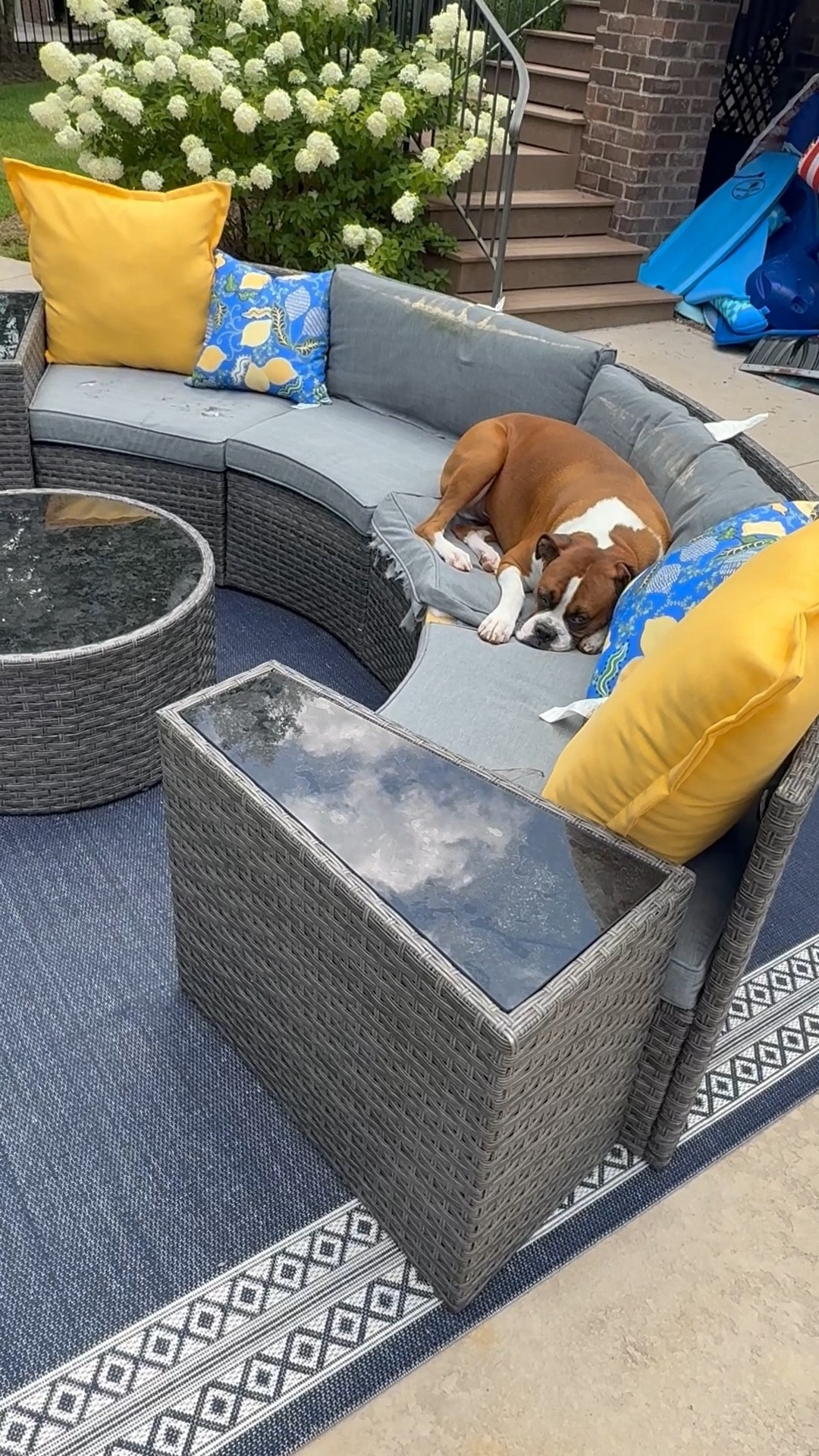 I’m trying to save this outdoor couch by not having to buy a new one by replacing the cushions the birds and squirrels ate. It’s my boxer, Bruno’s, favorite chair outside 🤣🤣I found these cute yellow large cushions and small blue ones at Kohls. I am ordering more! I found the 8x10 rug at Home Depot last weekend on sale!!!!✨🙌

#LTKHome #LTKSeasonal #LTKFamily