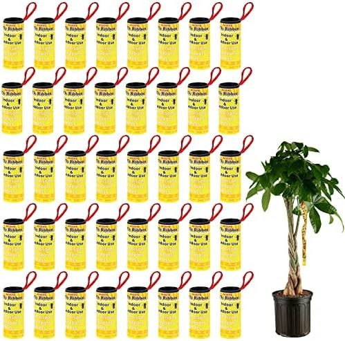Amazon.com : 40 Pack Fly Traps for Indoors/Outdoors, Fly Ribbon, Sticky Fly Strips, Fly Tape, Fly... | Amazon (US)