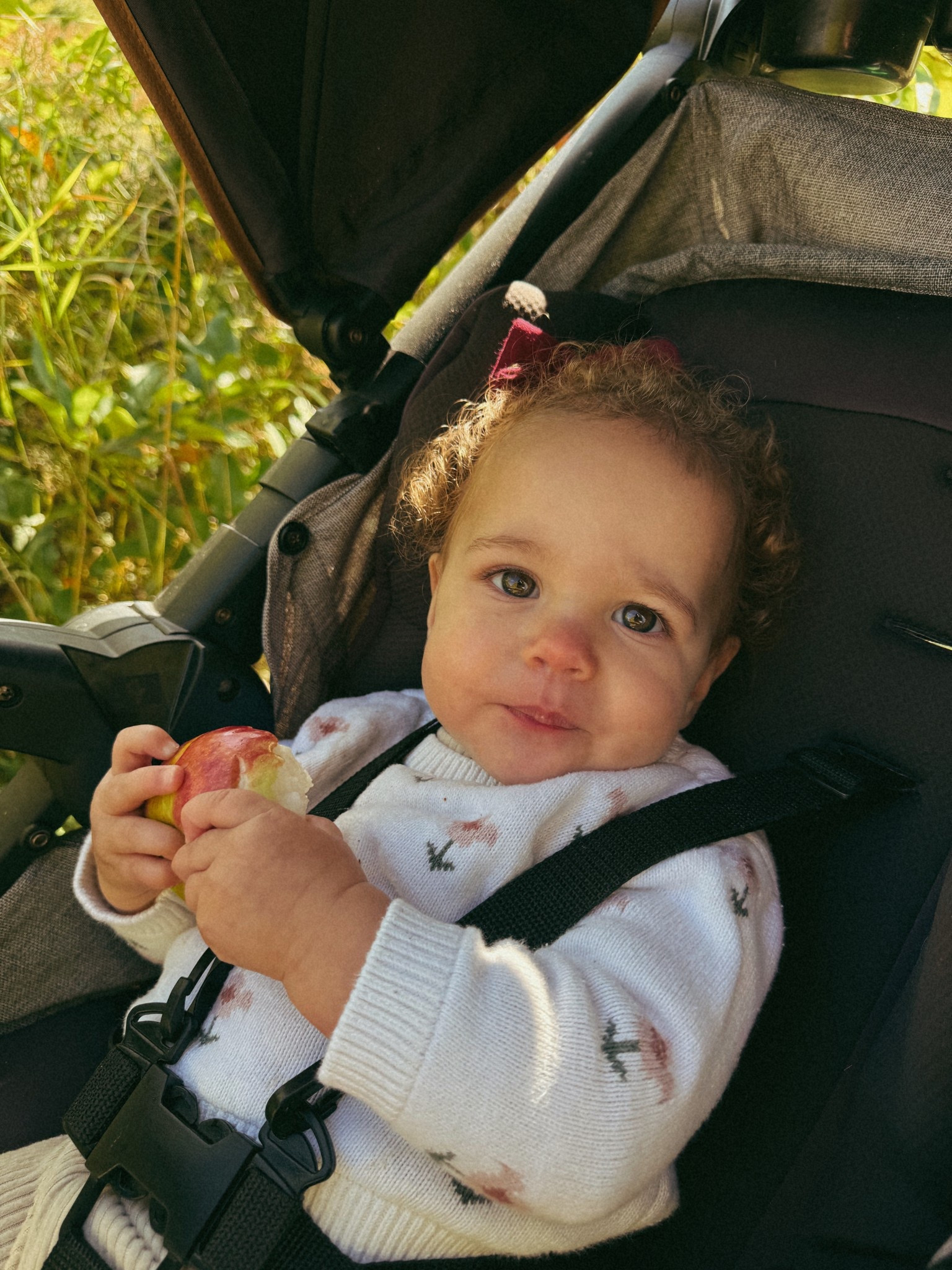 Everything we use on our daughter’s curly hair! 

#LTKbaby #LTKcanada #LTKkids