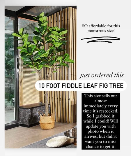 This giant 10 ft fiddle leaf fig tree will not last long! I saw it a couple times and didn’t act and regretted it so bought this one while I can! Will share my review when it arrives! This size would be 2-3x there price other stores! Artificial tree faux trees fig tree olive tree amazon finds amazon find 

#LTKstyletip #LTKhome #LTKFind