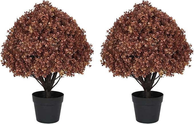 24" Artificial Boxwood Fall Topiary Trees, Faux Plants Outdoor Set of 2 | Amazon (US)