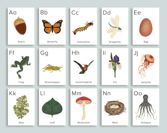 Nature ABC Cards Printable | Homeschool Printables Preschool Nursery Wall Art Alphabet | classroo... | Etsy (US)