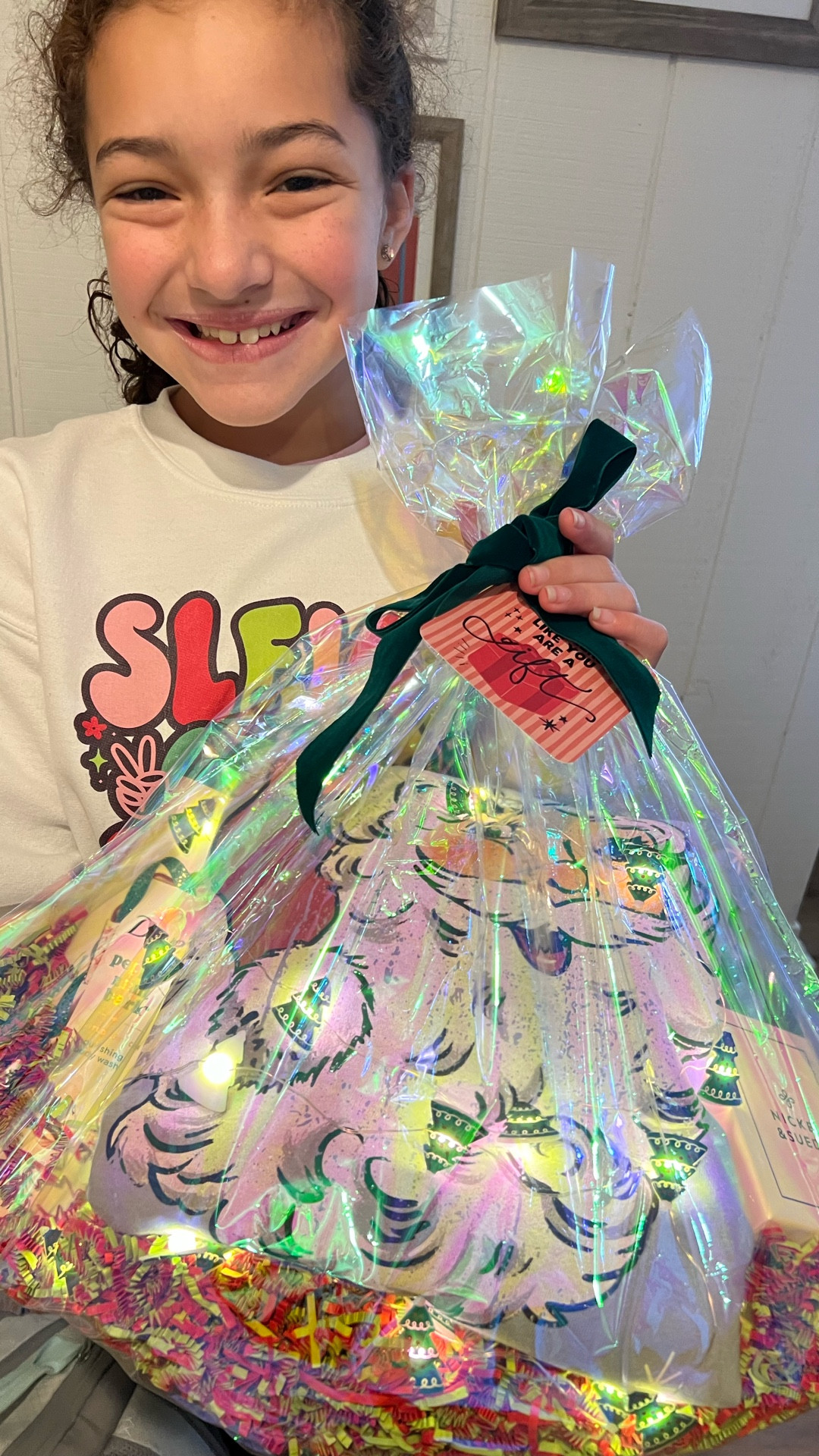 Teacher gift idea that always lands 🎄❤️
A cozy Christmas sweatshirt she can wear all season, a festive Dove body wash, twinkle lights, and a few goodies specific to your favorite teacher.
All printables I use are from The Letter Vee! 

Link to Letter Vee membership: https://www.personalizeyourrealestate.com/a/2147484368/WyafGFU2


#LTKGiftGuide #LTKHoliday #LTKSeasonal