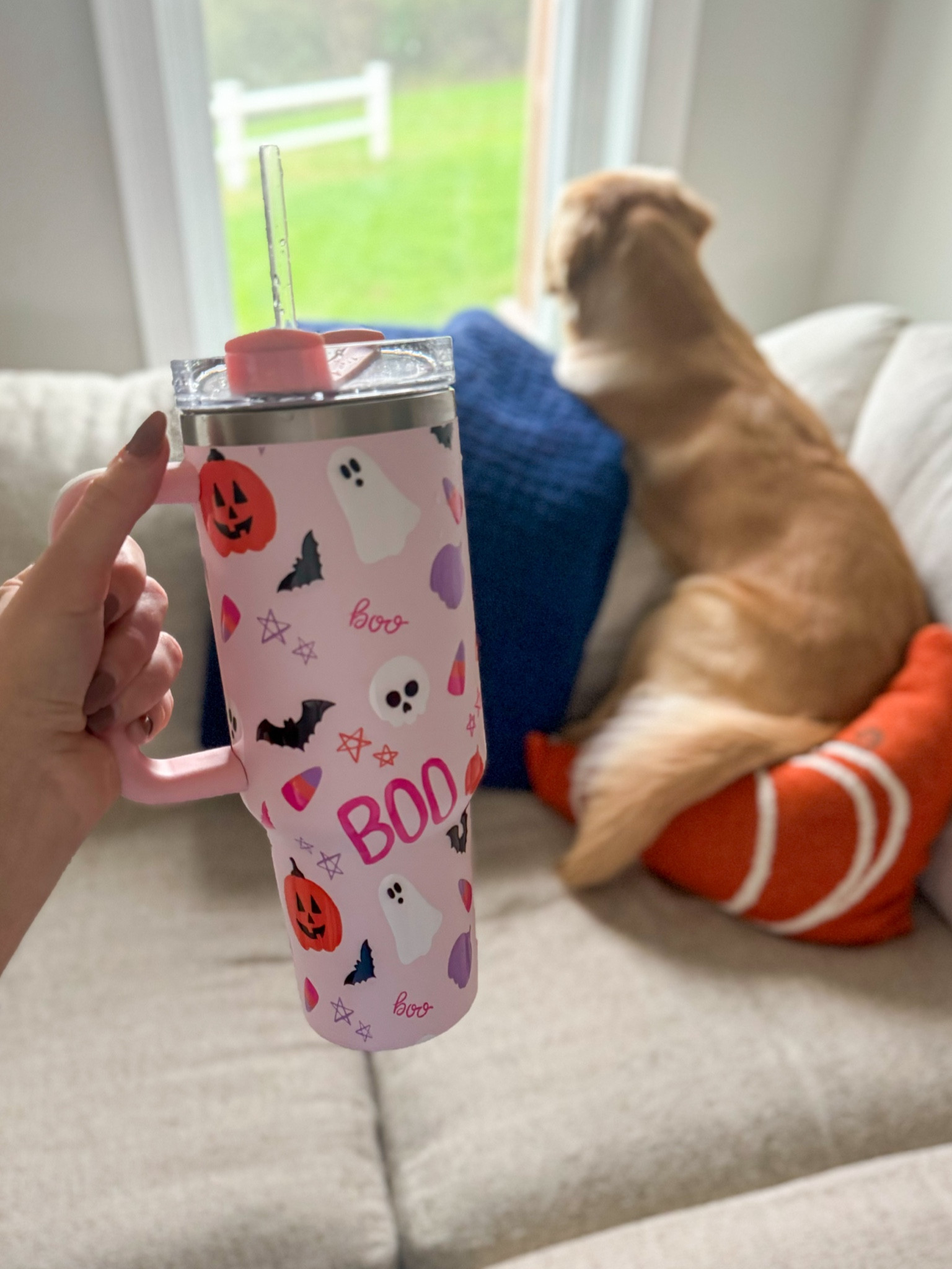 Halloween water tumbler from pink lily! 



#LTKHalloween #LTKFindsUnder50 #LTKSeasonal