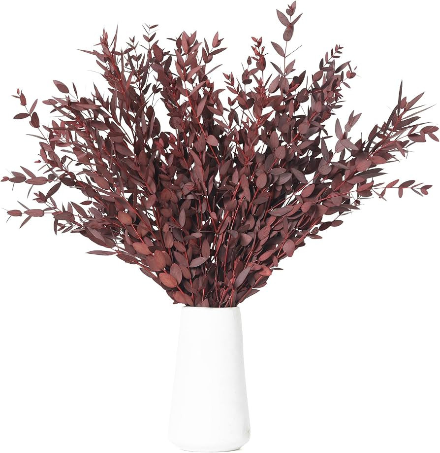7-12 Pcs Preserved Eucalyptus Stems, 14-17" Red Leaves for Fall Decorations | Amazon (US)